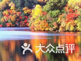 逃离木质小屋