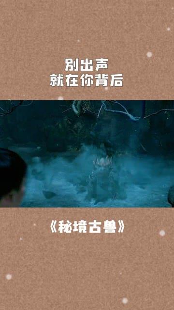 小艾比摄影家