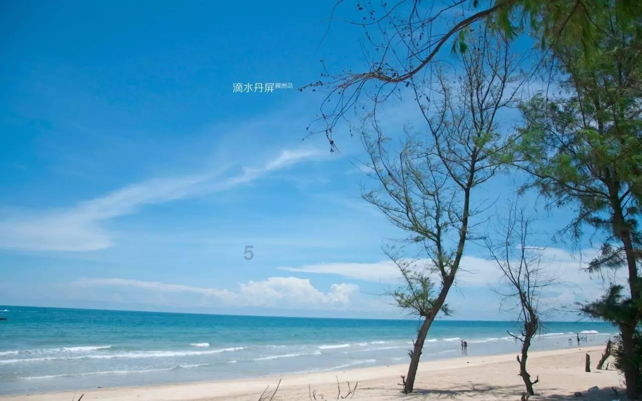 聚集智慧,解答疑惑——农业银行储蓄卡预留号码忘记了怎么办?问答平台