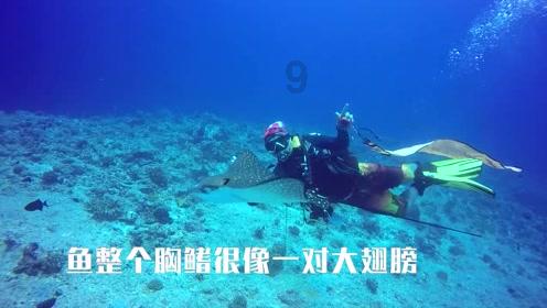 手机游戏