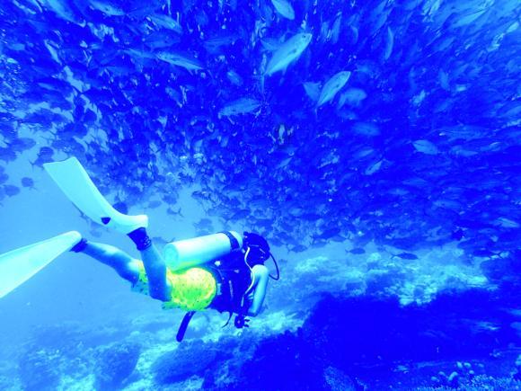 热康板:满足消费者对高环保、高健康板材的需求