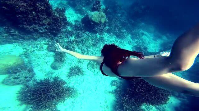 点赞|云南省农文旅融合发展参考案例(九)——楚雄州武定县狮山镇狮山村