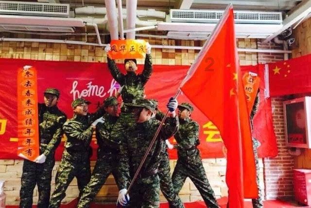 中化国际加快全球一体化布局