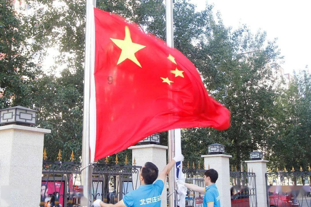 可爱小猫的发廊