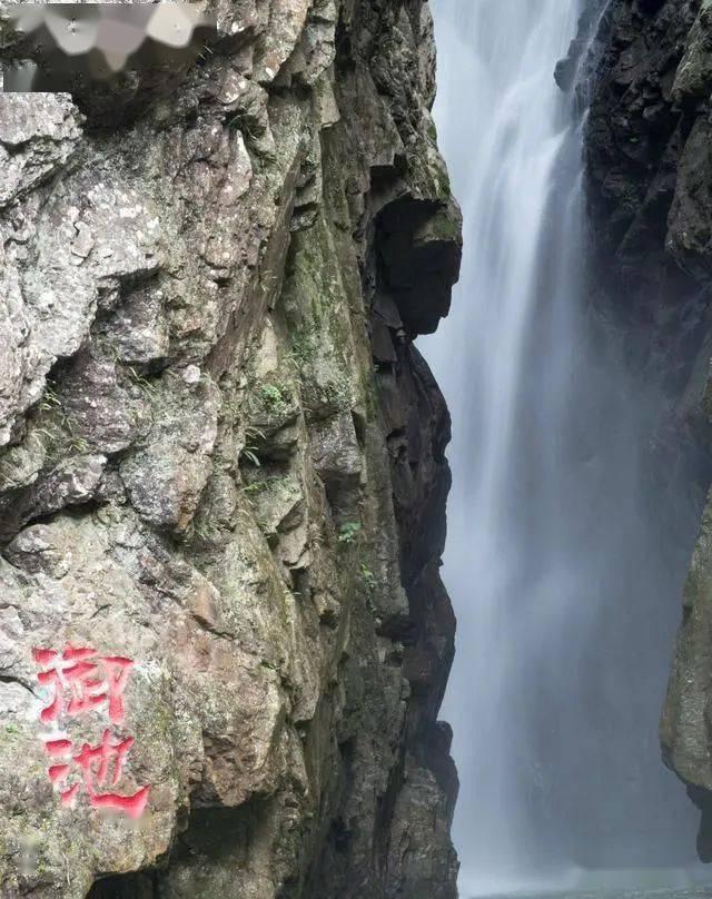 妙鸭相机app下载官网