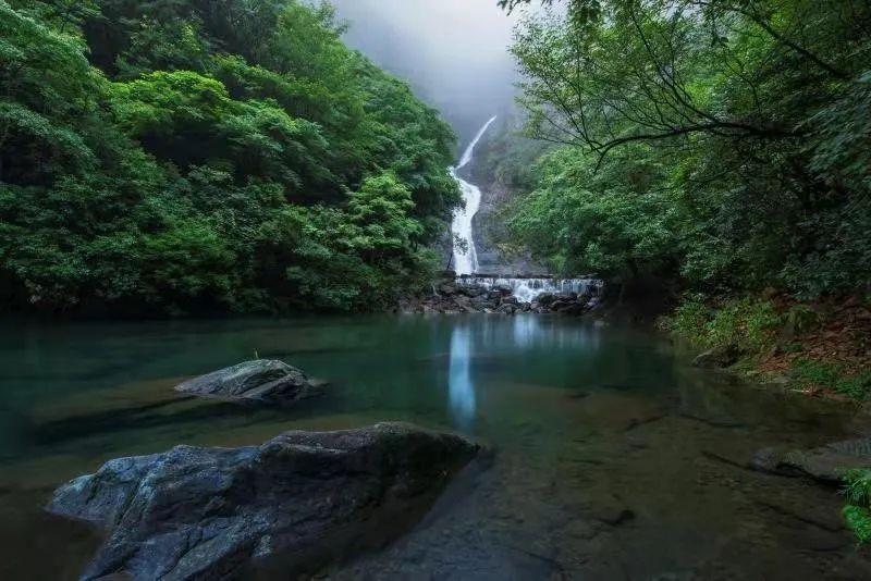 找到旅店窃贼