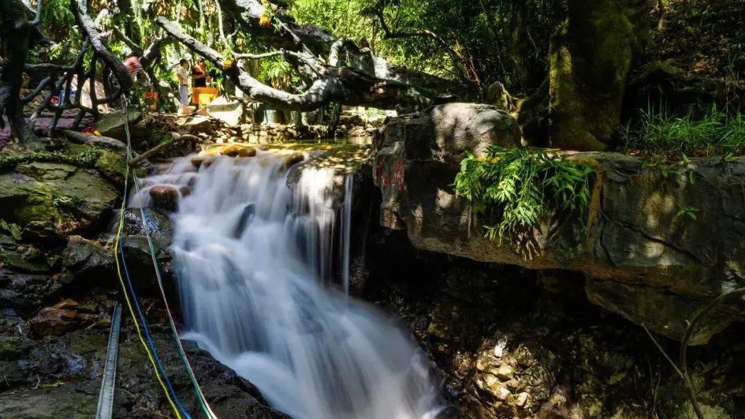 北大医疗淄博医院：十六年透析路，深深医患情