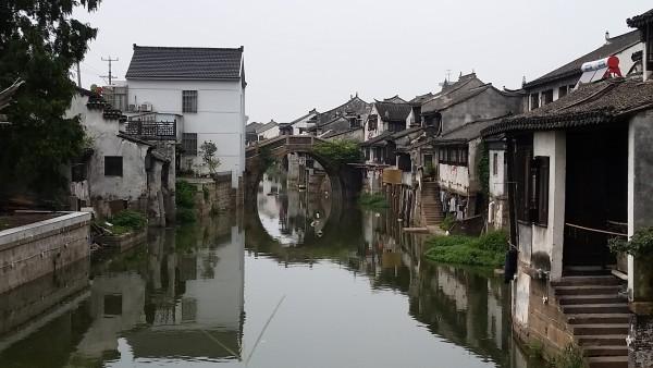 玳瑁猫洗澡时一直狂问妈妈,网友跟着被逼疯才发现:忘了讲柴鱼