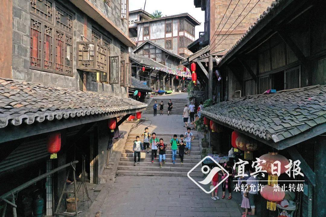 逃离白鸽之森